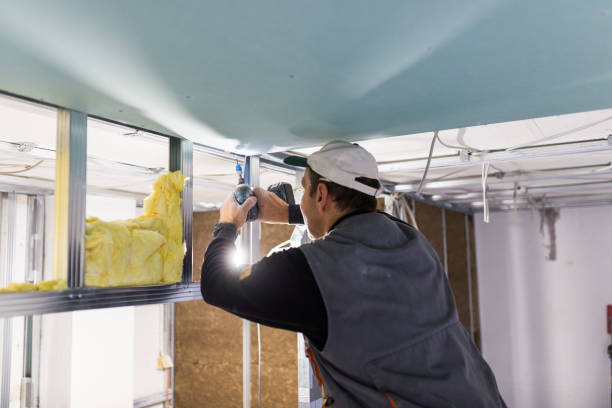 Best Crawl Space Insulation  in Honesdale, PA